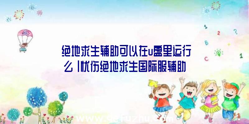 「绝地求生辅助可以在u盘里运行么」|忧伤绝地求生国际服辅助